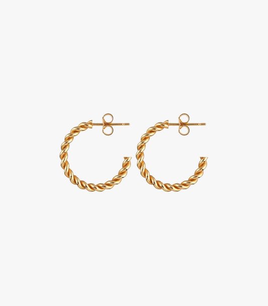 Classy Gold Earrings