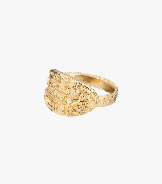 Morganite Stone Gold-Finish Ring